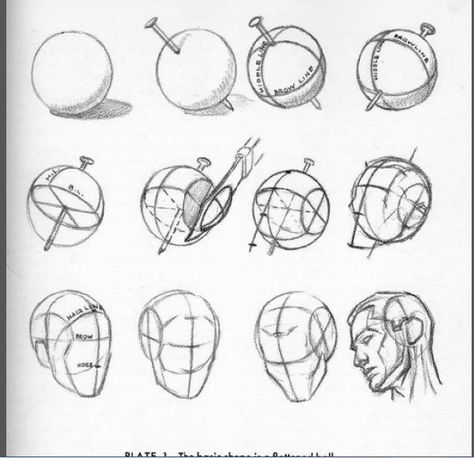 Drawing The Human Head, Andrew Loomis, Facial Anatomy, Realistic Eye Drawing, 얼굴 드로잉, 얼굴 그리기, Drawing Heads, Drawing Exercises, Human Head