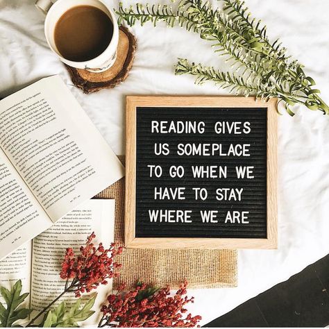 Book In Hand, Letter Board Quotes, Reading Quote, Screenwriting Tips, Library Quotes, Reading Bookmarks, Reading Accessories, Reading Library, Board Quotes