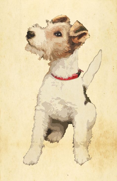 Fox Terrier Illustration, Vintage Dog Illustration, Images Of Dogs, Wire Haired Terrier, Wirehaired Fox Terrier, Dog Sewing Patterns, Vintage Fox, Fox Terriers, Wire Fox Terrier