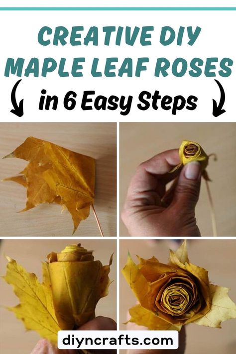 Creative DIY Maple Leaf Roses in 6 Easy Steps Leaf Roses Diy, Maple Leaf Roses How To Make, Leaf Roses Autumn Leaves, Leaf Thanksgiving Craft, Real Fall Leaf Crafts, Leaf Flowers Diy, Dried Leaves Crafts, Diy Maple Leaf, Leaf Roses