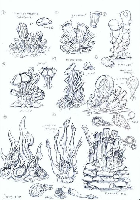 plants 4 by TugoDoomER: Alien Plants, 강아지 그림, Alien Concept Art, 캐릭터 드로잉, Plant Drawing, Dessin Adorable, Animal Sketches, Environment Concept Art, Environmental Art