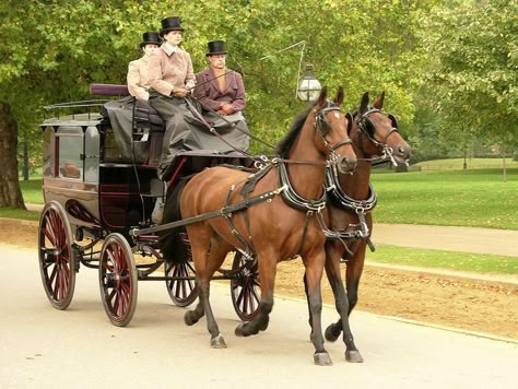 Female Driver, Horse And Buggy, Covered Wagon, Horse Carriage, Absinthe, Hyde Park, Horse Photography, Wagons, Vintage Photos