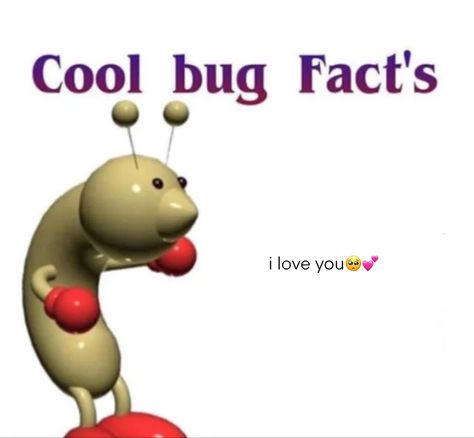 Cool Bug Facts, Bugs In Love, Manny Heffley, Bug Memes, Carl Wheezer, Bug Facts, Goofy Memes, Facebook Meme, Cool Bugs