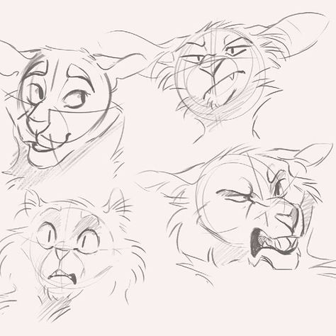 Finchwing Warrior Cats, Warrior Cat Expressions, Warrior Cats Expressions, Cat Expressions Drawing, Finchwing Art, Expression Reference, Cat Expressions, Cat Drawing Tutorial, Cat Anatomy