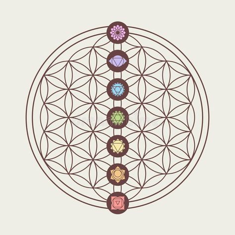 Sacred Geometry Background, Sacred Geometry Design, Flower Of Life Tattoo, Chakra Tattoo, Sacred Geometry Patterns, Sacred Geometry Tattoo, Geometry Tattoo, Sacred Geometric, Sacred Geometry Art