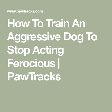 How To Train An Aggressive Dog To Stop Acting Ferocious | PawTracks Aggressive Dog, Strong Feelings, Old Dogs, Dog Behavior, How To Train, Pet Parent, New Tricks, Veterinarian, Feel Confident