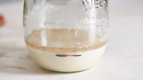 Hooch: To Stir or Not to Stir? Starter Sourdough, Bread Oven, Clear Liquids, Sourdough Baking, Home Bakery, Bakery Bread, Sourdough Starter, Fermenting, Sourdough Bread