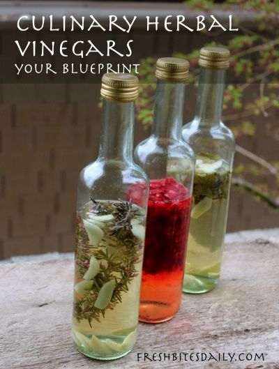 Seasoned Vinegar, Herbal Vinegars, Chive Flowers, Herbal Vinegar, Flavored Vinegars, Infused Vinegars, Vinegar Uses, Infused Oil, Homemade Oil