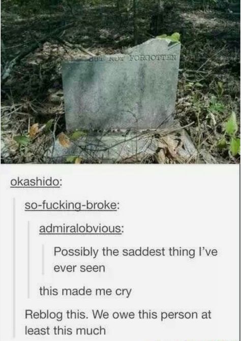 Dead End, Faith In Humanity Restored, Humanity Restored, After Life, Faith In Humanity, Shadowhunters, Tumblr Posts, Sake, Fun Facts