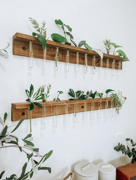 Test Tube Propagation Wall, Propagation Wall, Indoor Plant Wall, Propagation Station, Plant Wall Decor, Diy Backsplash, Plant Propagation, Test Tubes, Wooden Vase