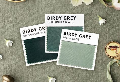 Swatch Color Palettes – Birdy Grey Green Swatches, Grey Palette, Birdy Grey, Grey Color Palette, August Wedding, Just Engaged, Blush Tones, Sage Color, Dusty Purple