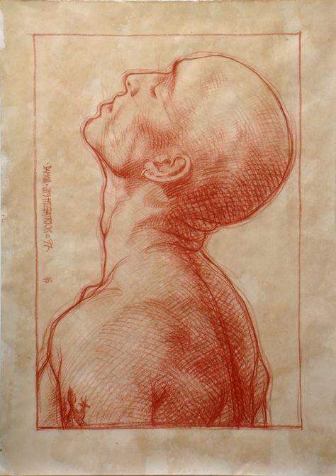 Jim FitzPatrick. Damon 1.Sanguine on washed paper. 1997 Sanguine Drawing, Jim Fitzpatrick, Pencil Landscape, Conte Drawing, Body Part Drawing, Master Drawing, Anatomy For Artists, Figure Sketching, Anatomy Drawing