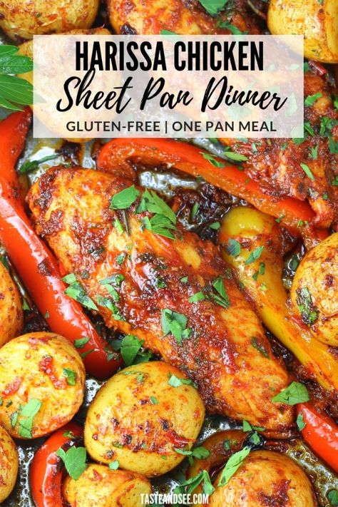 Chicken Sheet Pan Dinner, Harissa Sauce, Chicken Sheet Pan, Harissa Recipes, Harissa Chicken, Sheet Pan Dinners Chicken, Easy Sheet Pan Dinners, Sheet Pan Dinners Recipes, Sweet Bell Peppers