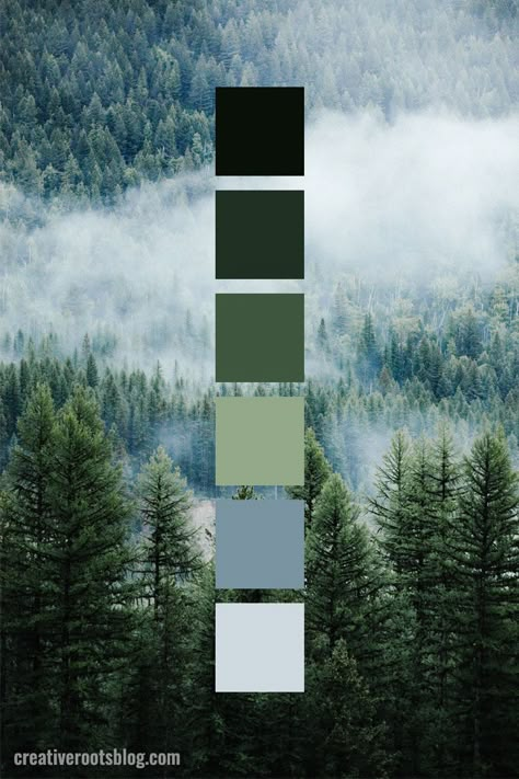 Forest Green Color Palette, Muted Forest Green, Green Color Palette, Color Schemes Colour Palettes, Forest Green Color, Green Colour Palette, Color Palette Design, Paint Colors For Home, Color Pallets