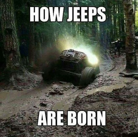 Jeep Jokes, Jeep Funny, Jeep Humor, Jeep Quotes, Truck Memes, Badass Jeep, Classic Jeeps, Funny Car Memes, Jeep Mods