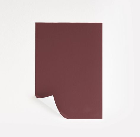 Plum Raisin Paint Sample by Benjamin Moore (2082-20) | Peel & Stick Paint Sample Shade Of Gray, Paint Sample, Red Plum, Romantic Colors, Paint Shades, Paint Samples, Plum Color, Love Rose, Color Samples