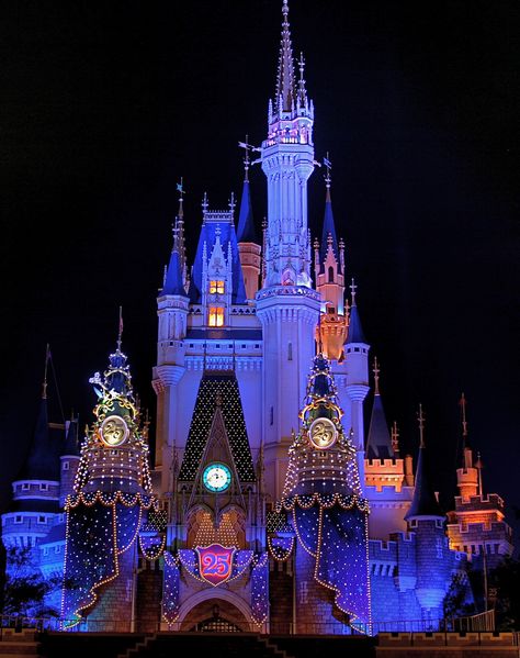 Disneyland Castle At Night | Tokyo | Japan Tokyo Disneyland Castle, Disneyland Night, Japan Disneyland, Disneyland Castle, Tokyo Night, Disney World Magic Kingdom, Disney Sea, Tokyo Disney Sea, Night Scenery