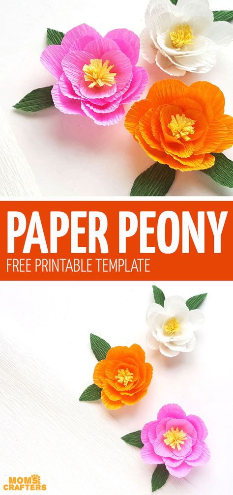 Click if you love making paper flowers and want to download this free printable crepe paper peony template! It's so much fun and one of my favorite paper flowers craft for beginners. Peony Template, Paper Peony Template, Crepe Paper Peony, Cricut Flowers, Paper Peony, Fantastic Flowers, Săpunuri Handmade, Paper Quilling Flowers, Crafts For Teens To Make