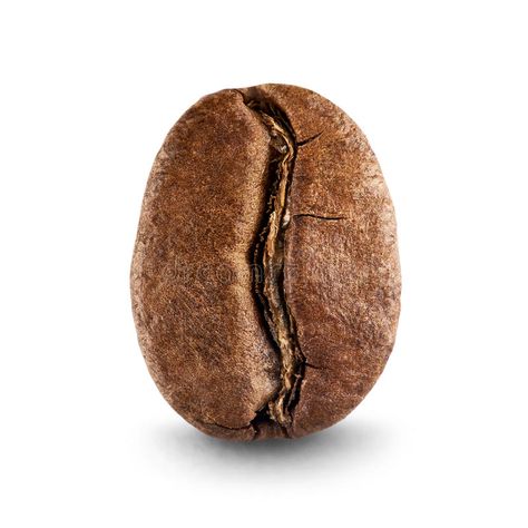 Coffee bean. On white background , #AFF, #bean, #Coffee, #background, #white #ad Coffee Texture, Coffee Bean Logo, Cafe Logos, Soup Pumpkin, Beans Image, Coffee Seed, Pumpkin Bowl, Coffee Background, Coffee Grain