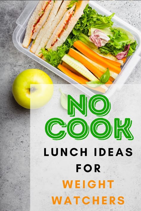 Weight Watcher On The Go Lunch, Ww Packed Lunches, Healthy Lunch Ideas For One Person, Healthy Store Bought Lunch, Weight Watcher Lunches Easy, No Salad Lunch Ideas, Ww No Cook Lunch, Easy Healthy Low Calorie Lunch Ideas, Lean Lunches To Take To Work