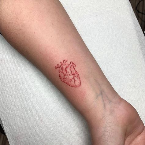 ❤️ ❤️❤️ on @lichiz__julie #minimaltattoo #minimalista #lineworktattoo #linework #dotworktattoo #blackwork #blackink #tattoos #lineart… Cute Small Tattoos With Meaning, Red Heart Tattoos, Small Tattoos With Meaning, Petite Tattoos, Red Ink Tattoos, Red Tattoos, Cute Small Tattoos, Dainty Tattoos, Human Heart