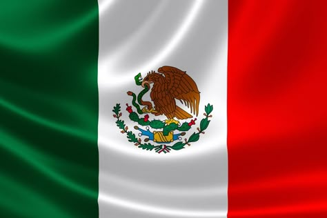 Fun Facts About Mexico, Mexico For Kids, Mexico Wallpaper, Mexican Artwork, Spanish Basics, Mexico Culture, Mexican Flags, Mexico Flag, Mexican American