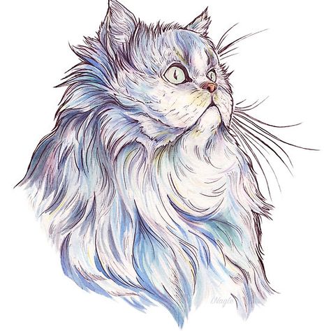 Persian Cat Drawing Sketch, Persian Cat Illustration, Persian Cat Painting, Persian Cat Tattoo, Persian Cat Drawing, Persian Cat Art, Kitten Tattoo, Cat Shadow, Cat Anatomy