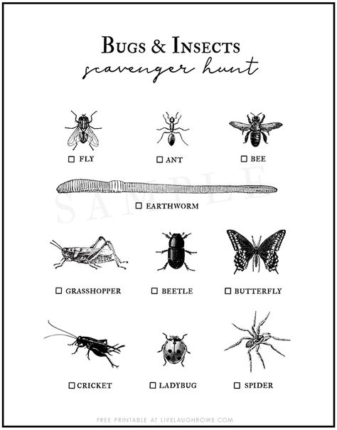 Heading to the park or nature center this summer? This Bug Scavenger Hunt for Kids should keep them busy as they hunt down these bugs and insects. Free printable at livelaughrowe.com #scavengerhunt #printable #kidsactivity Insect Scavenger Hunt, Bug Scavenger Hunt, Bug Hunt, Memory Match Game, Scavenger Hunt For Kids, Homeschool Printables, Outdoor School, Bugs And Insects, Nature Center