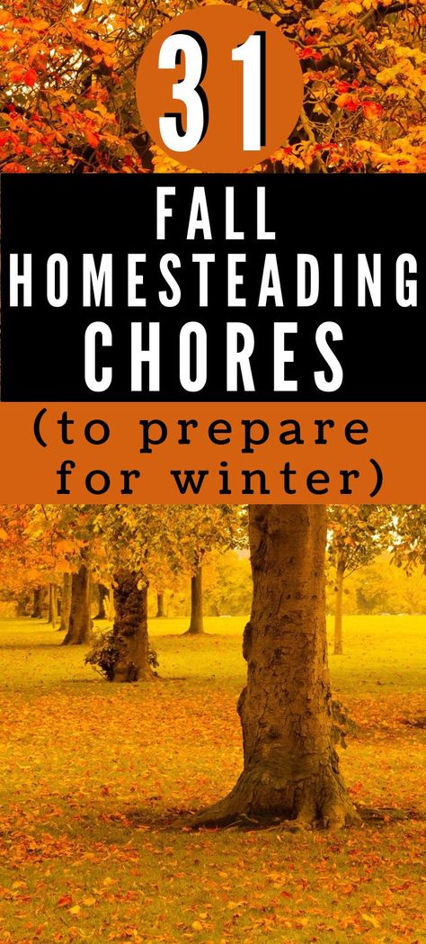 Fall Homestead, Homesteading Inspiration, Homesteading Hacks, Chores List, Off Grid Homestead, Winter Sets, Homesteading Ideas, Homesteading Diy, Homestead Farm