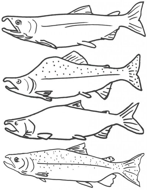 Coloring Pages For Fish Rainbow Fish Coloring Page, Fish Printables, Fish Coloring, Fish Template, Fish Quilt, Fish Coloring Page, Salmon Fish, Fish Crafts, Coloring Page Ideas