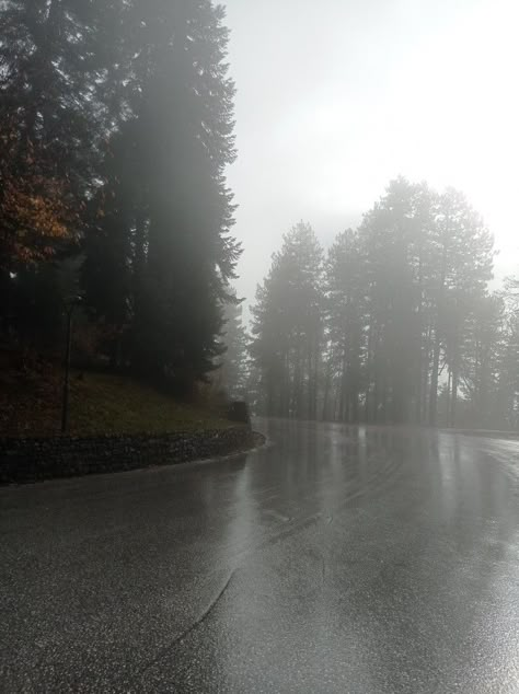 Nature. Foggy day. Rainy day. Rainy Aesthetic, Foggy Trees, Dark Naturalism, Dark Forest Aesthetic, Foggy Weather, Rainy Day Aesthetic, Foggy Day, Foggy Mountains, I Love Rain