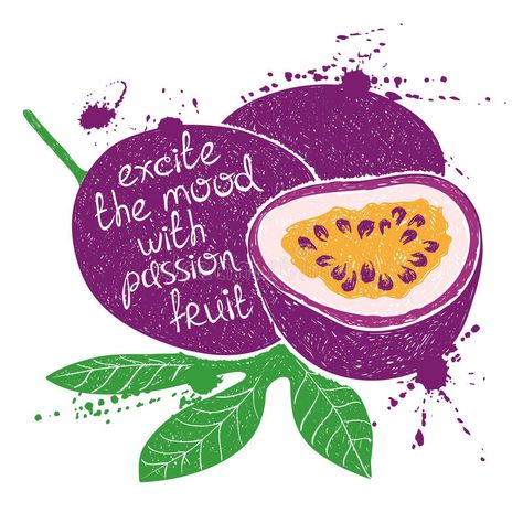 Illustration of isolated purple passion fruit silhouette. stock illustration Passion Fruit Illustration, Fruit Silhouette, Women Prints, Fruit Quotes, Fruit Juice Packaging, Fruit Artwork, Fruit Packaging, Fruit Illustration, Hand Drawn Illustration