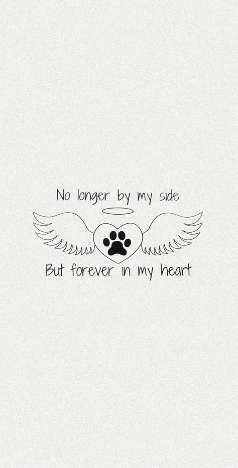 I Lost My Cat Quotes, Dog Memory Quotes, Dog Quotes Heaven, Lost Pet Quotes Dogs, Quotes About Losing A Pet, Losing A Cat Quote, Dog Memorial Quotes, Losing A Pet Quotes, Pet Quotes Dog