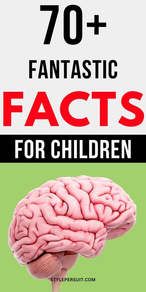 In the vast expanse of knowledge that surrounds us, fascinating facts can ignite curiosity, inspire learning, and expand our understanding of the world. For students, these snippets of information can serve as a bridge between subjects, linking science to history, nature to technology, and beyond. This collection of 80+ amazing facts spans a wide array of topics, offering students a delightful journey through some of the most intriguing and lesser-known corners of our world. Fun Facts Interesting, Facts For Students, Fresh Cherry Recipes, Scientific Facts, Amazing Facts For Students, Amazing Science Facts, Fact Of The Day, Frozen Cherries, Cherry Recipes