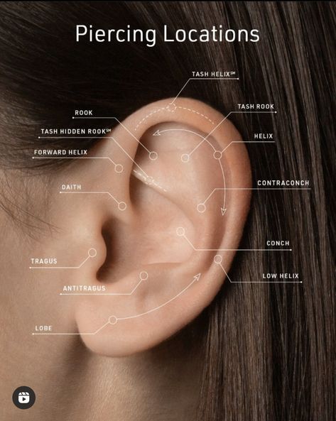 Piercings Ear Placement, Ear Piercing Diagram Charts, Ear Piercing Chart With Names, Names Of Ear Piercings Chart, Earrings Placement Ideas, Every Ear Piercing Chart, Earring Placement Ideas Chart, Where Should I Pierce My Ear, Earring Arrangement Ideas