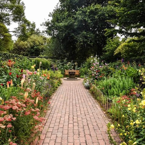 Carving out a secluded area in your backyard is a great way to establish a space of serenity in a chaotic household. 😌 #garden #SecludedSpace #RealEstate Lemon Rhubarb, Hamilton Gardens, Artisan Candles, Love Hand, Travel Candles, Garden Rose, Charming Garden, Lush Garden, Garden Bench