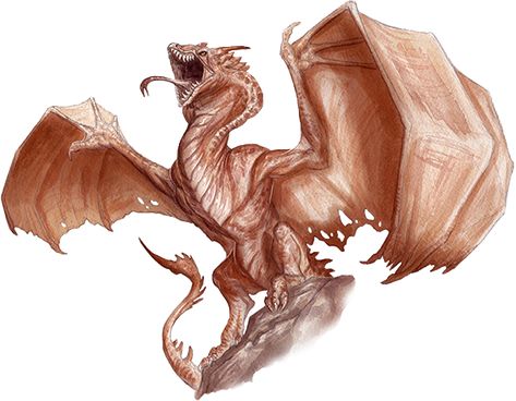 5e Smaugust 2024, Dragon Anatomy, Monster Names, Cartoon Dragon, Dnd Monsters, Mythical Beast, Dnd Art, Dungeons And Dragons Homebrew, Fantasy Monster