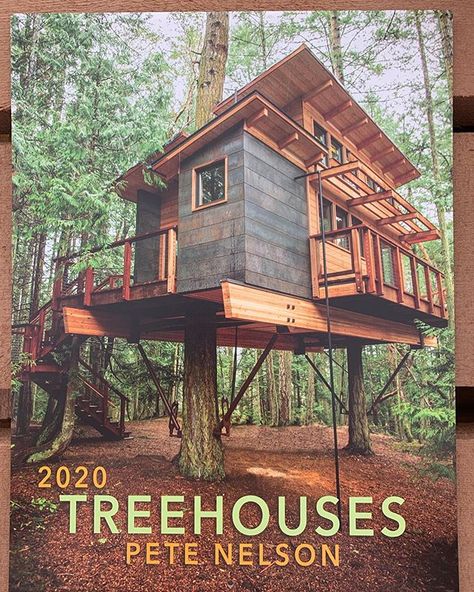 Adult Tree House, Beautiful Tree Houses, Treehouse Masters, Treehouse Cabins, Tree House Diy, Cool Tree Houses, Tree House Designs, Diy Tree, Home Libraries