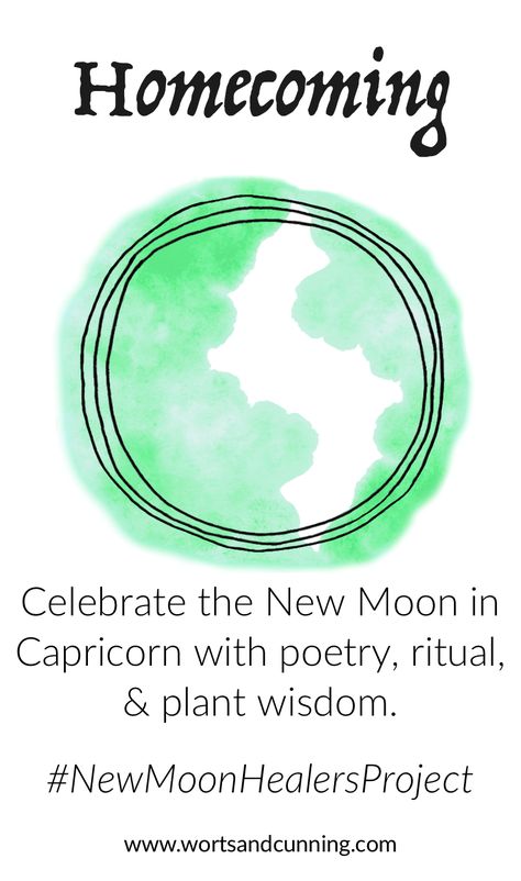 capricorn new moon New Moon In Capricorn, Capricorn Moon, Moon Witch, Moon Magic, New Moon, Moon Phases, Full Moon, Homecoming, Zodiac Signs