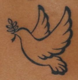 different flies, different tropical birds, and other flying creatures - Bing Images Peace Dove Tattoos, Small Dove Tattoos, Peace Sign Tattoos, Olive Branch Tattoo, Dove Tattoo Design, Vogel Tattoo, Dove Tattoos, Dove Tattoo, Branch Tattoo