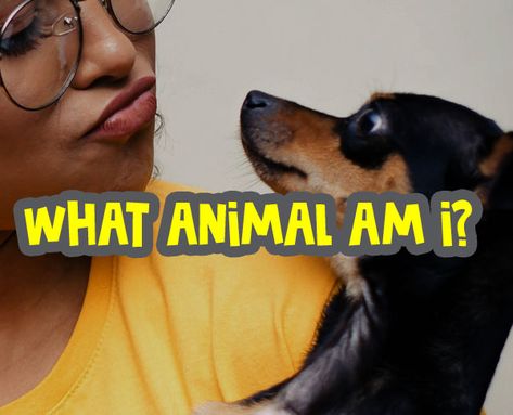 Start What animal am I quiz – Are you feeling wild? Or, If you were an animal what would you be? Take our animal personality test to find out whether you’re more lion than Golden Retriever, or the other spirit animal which fits your characters. As Americans, we love our pets deeply. We show it with birthday celebrations, extra space on the bed, and elaborate end-of-life rituals, including funerals and cremation urns. Those of us that have lost our pets are very familiar with the l... What Type Of Animal Are You, What Animal Am I, Which Animal Are You, What Is My Spirit Animal, My Spirit Animal Would Eat Yours, What Animal Am I Quiz, Spirit Animal Quiz, What Animal Are You, Animal Quiz