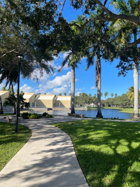 Florida Atlantic University Aesthetic, College Prints, Beach College, High School Design, Florida Atlantic University, Florida High School, Street Background, Colleges In Florida, College Freshman