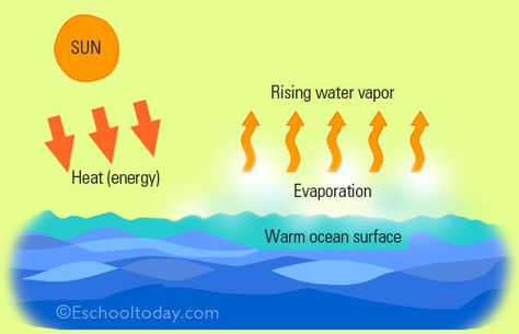 Water Evaporation, Ozone Depletion, Ocean Acidification, The Water Cycle, Pool Repair, Science Camp, Rock Cycle, Water Scarcity, Primary Science