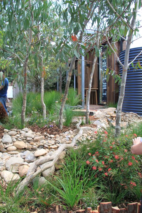 Chook Pen, Phillip Johnson, Gravel Gardens, Rain Garden Design, Australian Garden Design, Roof Garden Design, Bush Garden, Australian Native Garden, Landscape Designers