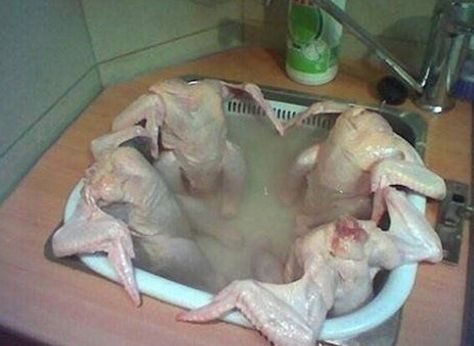 30 Cringey Food Pics That'll Make You Lose Your Appetite - Memebase - Funny Memes Funny Thanksgiving Pictures, Gross Food, Thanksgiving Pictures, Funny Turkey, Sink Kitchen, Weird Images, Chicken Humor, Bath Spa, Funny Thanksgiving