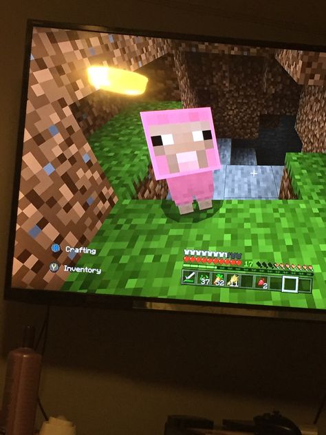 I LITERALLY FOUND A PINK BABY SHEEP IN MINECRAFT AND THOUGHT IT WAS A BABY PIG Minecraft Baby, Pink Sheep, Baby Pig, Baby Sheep, Baby Pigs, Minecraft Art, Pink Baby, Baby Pink, Baby Animals