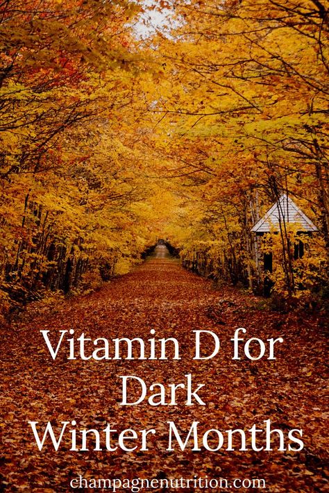 How to Get Vitamin D in the Winter | foods that can help meet your needs How To Get Vitamin D Naturally, Winter Vitamins, Vitamin D Foods, Autumn Recipes Vegetarian, Cozy Fall Recipes, Winter Foods, Best Healthy Diet, Healthy Life Hacks, Nutrition Articles