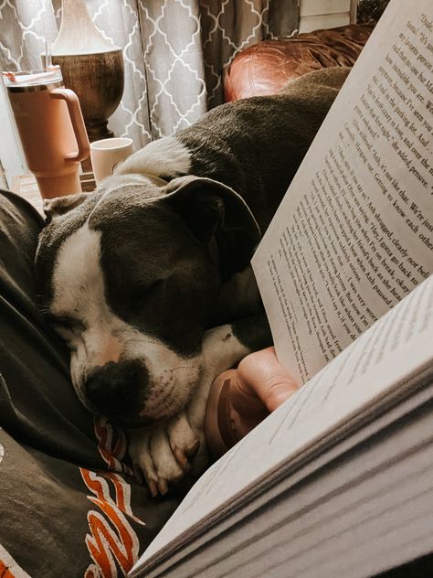 Dogs | Animals | Books | Book Club | Reading Reading With Dog Aesthetic, Dogs And Books Aesthetic, Grace Core, Dogs And Books, 2024 Manifestations, Notion Inspo, Book Club Reads, Dog Couch, Animal Book