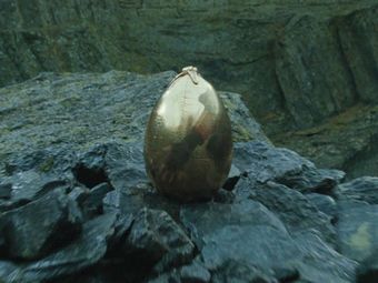 The golden egg was a magical device and the goal of the First Task of the Triwizard Tournament... Harry Potter Golden Egg, Fam Aesthetic, Film Reference, Fish People, Harry Potter Wiki, The Movie Theater, Triwizard Tournament, Gryffindor Aesthetic, Harry Potter Wall