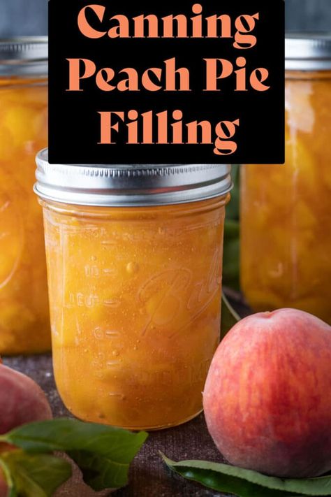 Canning Peach Pie Filling Cornstarch, Canning Peach Pie Filling Without Clear Jel, Canning Nectarine Pie Filling, Peach Pie Filling For Canning Without Clear Gel, Different Ways To Can Peaches, Nectarine Pie Filling Recipes, Canned Peach Filling Recipes, Canning Peach Cobbler Filling, Peach Pie Filling Canned